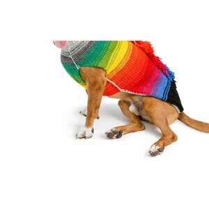 NEW CHILLY DOGS rainbow mohawk dog sweater in multi